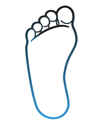 Line illustration of the sole of a human foot